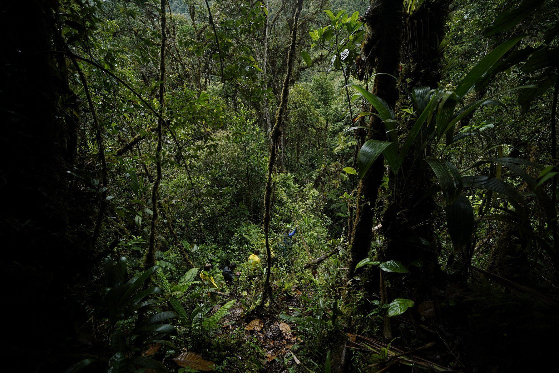 Ekvádorská Amazonie