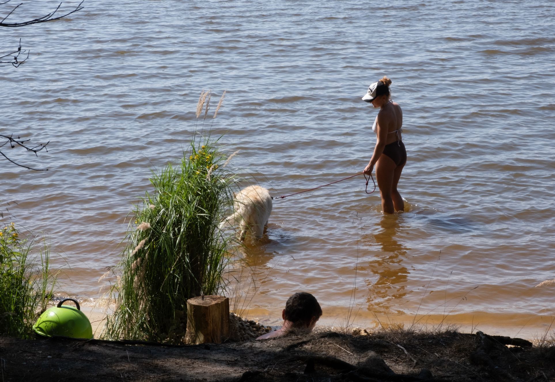 Moře Vysočiny - Velké Dářko