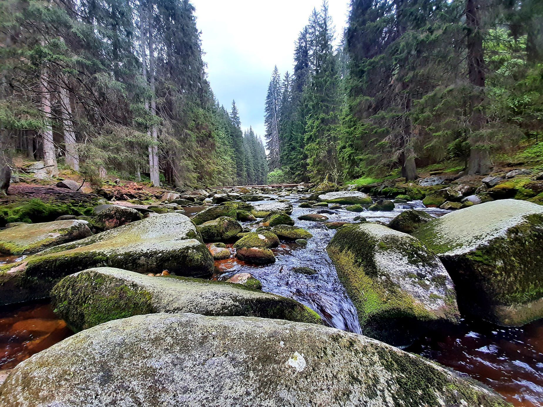 Povydří