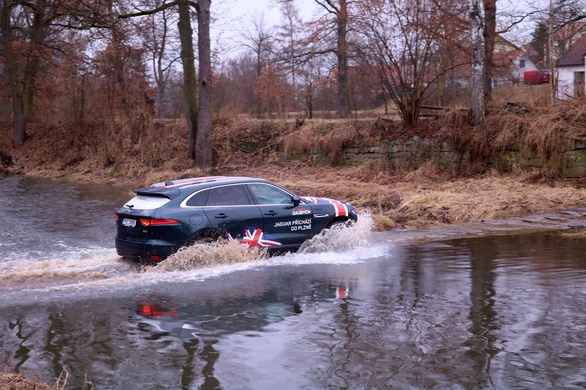 Jaguar Dajbych Plzeň