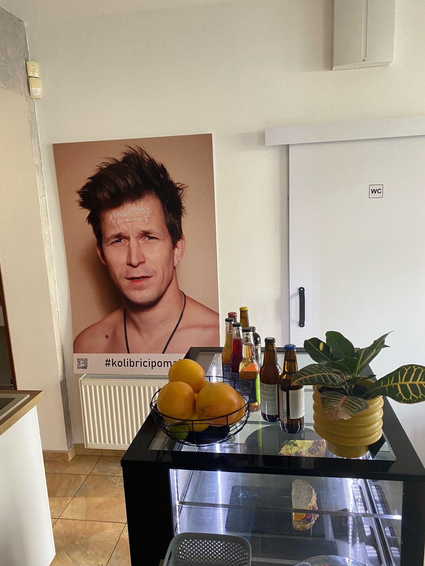 alopecie, poselství, Kolibříci pomáhají