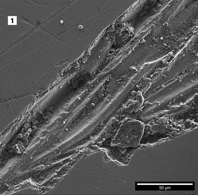 Škrábance na skleněném střepu z původního zasklení vily Tugendhat. Pohled z elektronového mikroskopu.