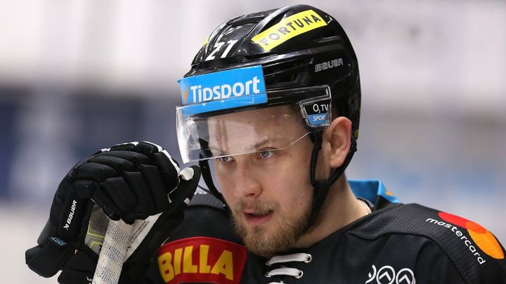 Českého občanství jsem se kvůli KHL nevzdal, brání se hokejista Safin; Zdroj foto: ČTK