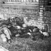 Pražské povstání, květen 1945, Praha, Domácí