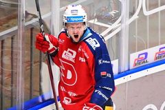 Ostuda při extralize. Fanoušek napadl osmdesátiletého dědu hráče Pardubic