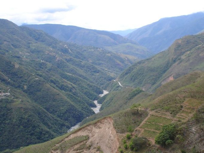 Krajina v okoli Yungas. Políčka koky.