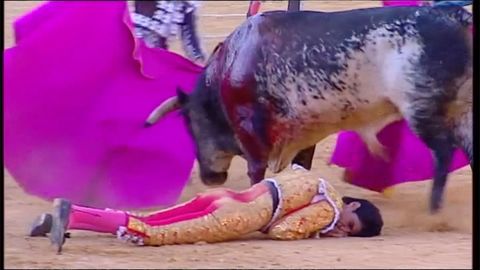 Slavného toreadora zabil býk v koridě během přímého televizního přenosu