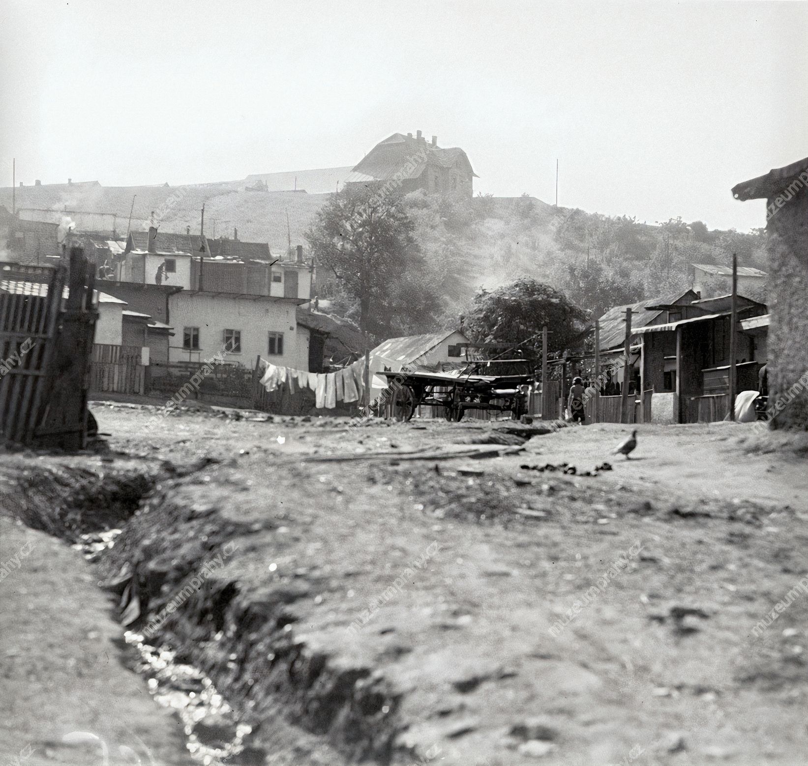 Chudá Praha, kniha, Muzeum hlavního města Prahy, historie, Domácí