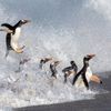 Vítězné snímky ze soutěže Environmental Photography Award 2024
