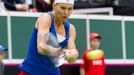 Fed Cup, ČR-Francie: Lucie Šafářová