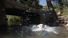 Bentley, a yellow Labrador, chases a ball in a creek as the temperature neared 100 Fahrenheit (38 Celsius), in Salt Lake City, Utah June 30, 2012. Temperatures in Utah are predicted to reach 100 Fahrenheit on Sunday, according to the National Weather Service. REUTERS/Jim Urquhart (UNITED STATES - Tags: ENVIRONMENT SOCIETY ANIMALS) Published: Čec. 1, 2012, 1:14 dop.