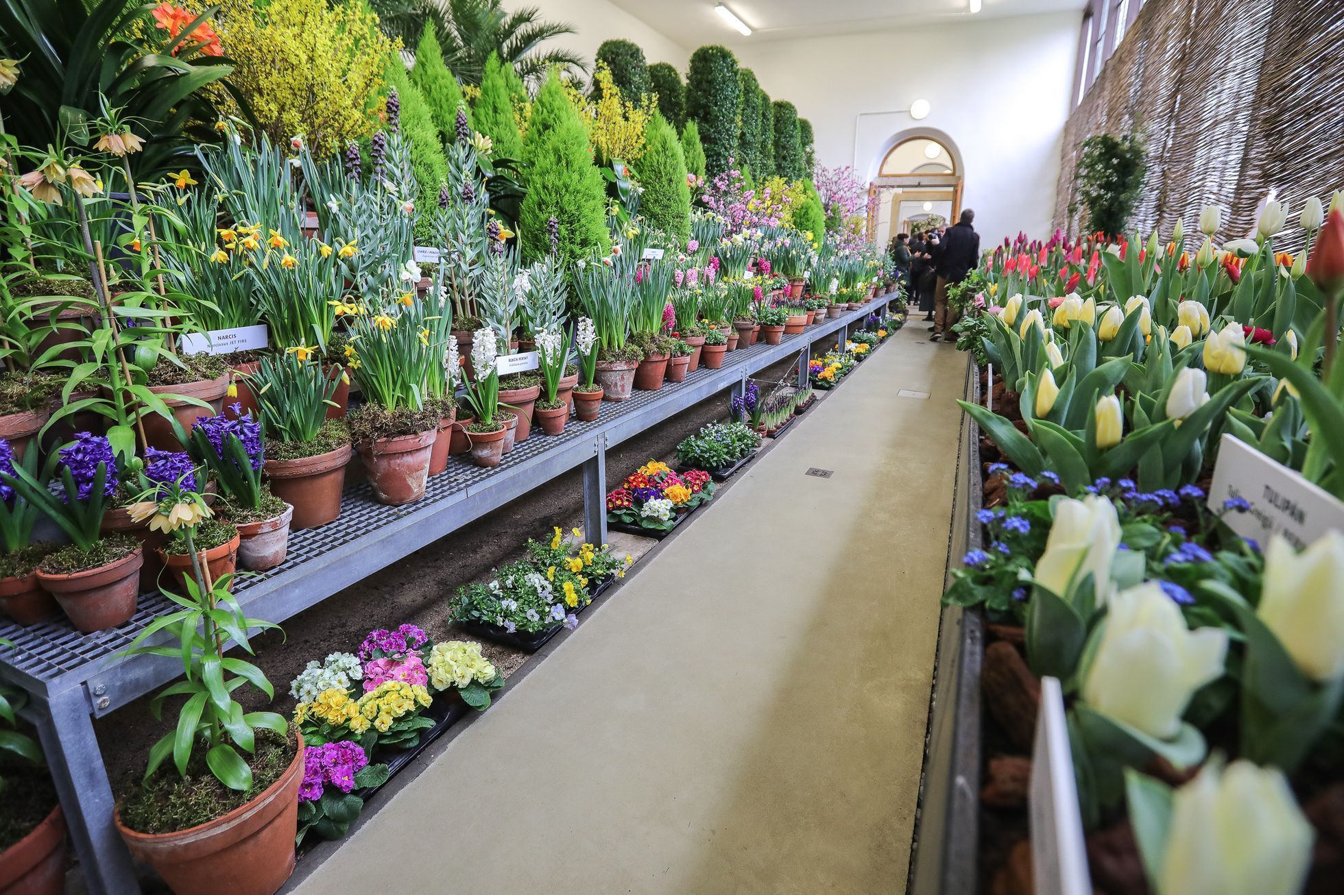 Výstava květin Předjaří, Pražský Hrad