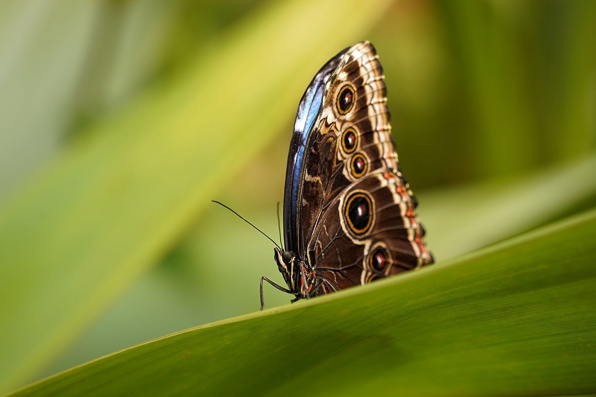 Top Foto 2023: Rok očima Tomáše Vocelky