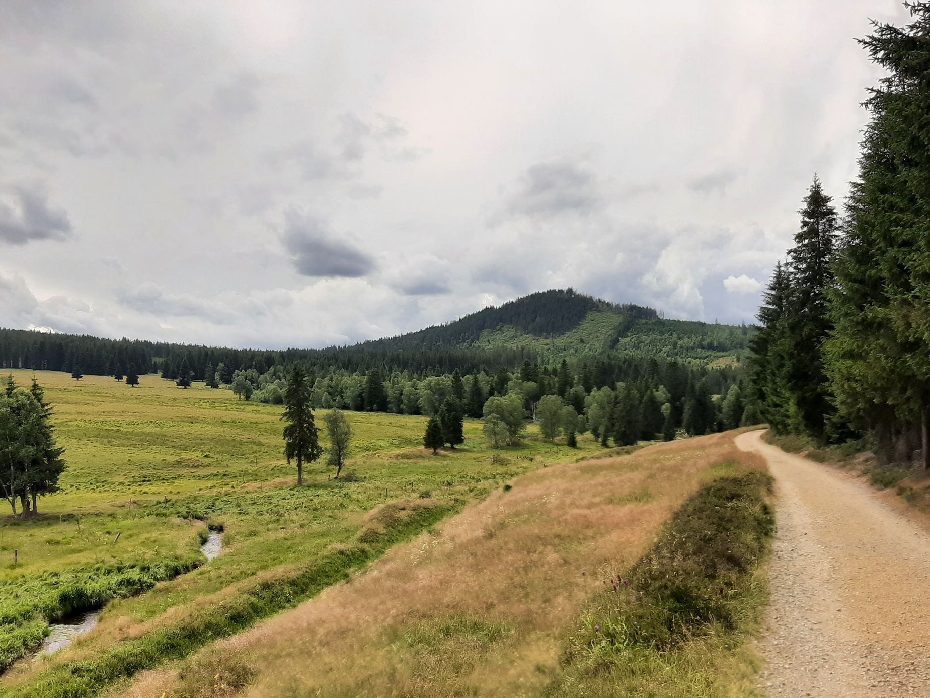 Šumava, Hamerský potok, Vydra