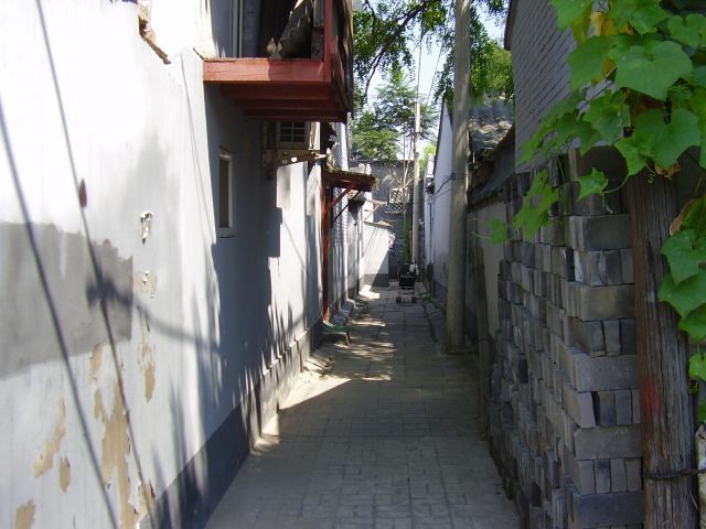 Čína olympiáda galerie názory 4