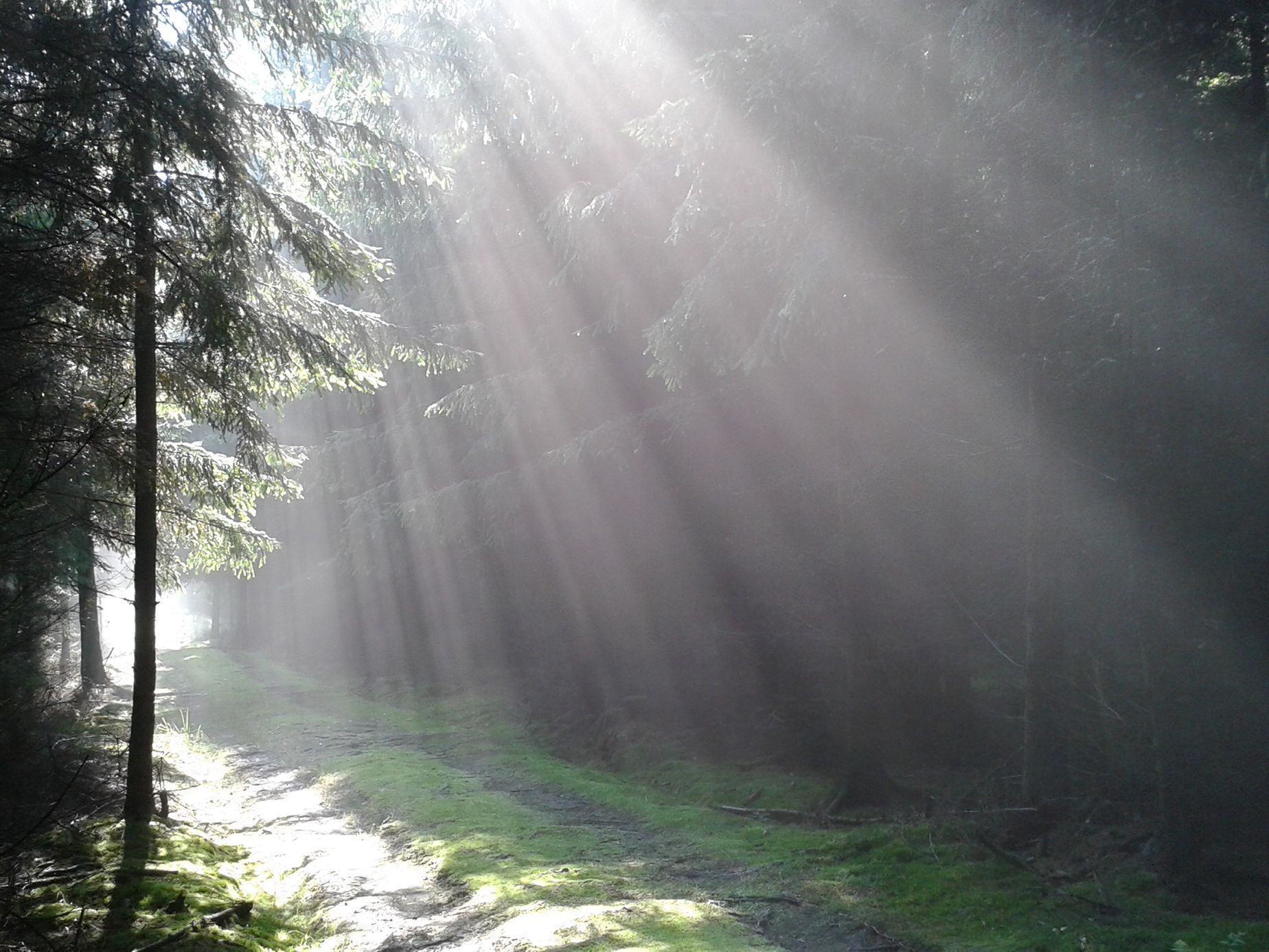 Fotosoutěž: Můj podzim - V. Švec