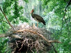 CHKO Slavkovský les