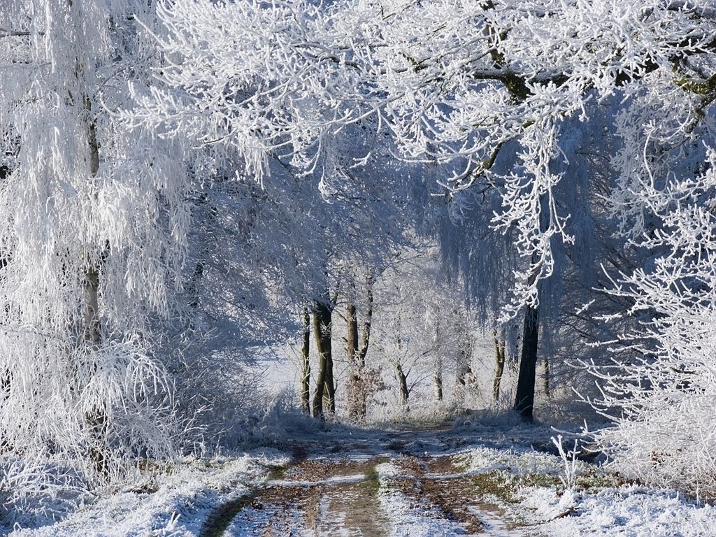 Foto: Zima je tu. Nechte se očarovat jejími krásami. /// Ilustrační snímek ///