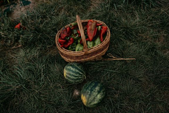 Melouny, papriky, okurky, cukety a brzy už i dýně. To všechno si mohou zákazníci na farmě nasbírat.