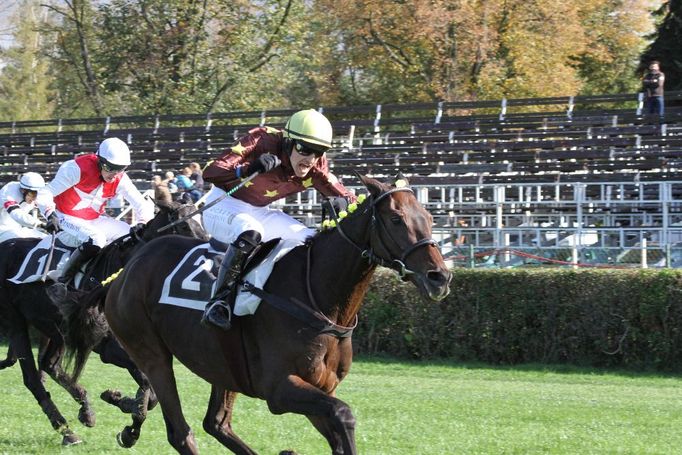 Sobotní dostihy před Velkou pardubickou 2017