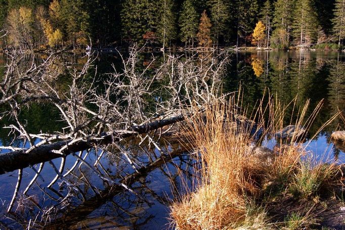 Obě dvě fotografie vznikly při sobotním výletu s kamarády na Šumavu a obě zachycují Černé jezero.