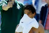 Vedro, které ubíjí aktéry tenisového Wimbledonu, si vybralo několik "obětí" z řad favoritů už v prvních dvou kolech. Včera vypadl Rafael Nadal. Podívejte se v naší galerii, kdo získal skalp dvojnásobného vítěze z All England Clubu a jak si lidé v Londýně poradili s žhnoucím sluncem.