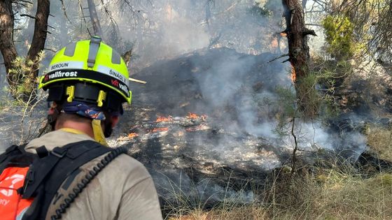 Foto: Vrtulník Black Hawk a 33 aut. Češi v Řecku hasí největší požár v historii EU