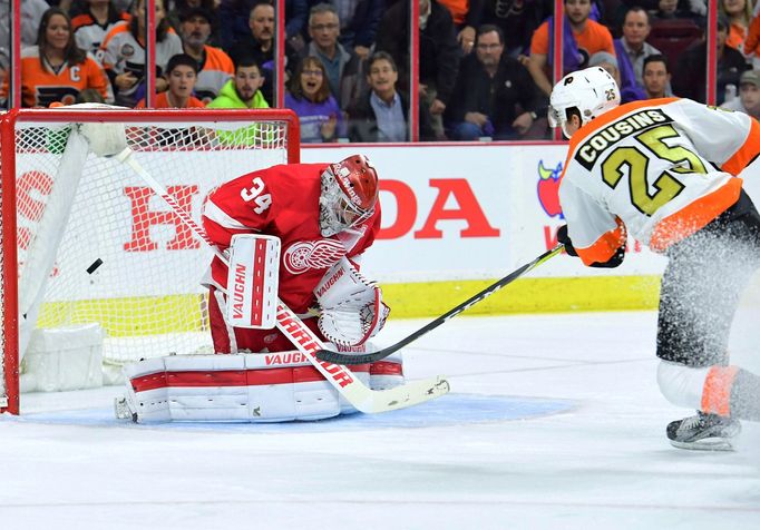 Petr Mrázek v dresu Detroitu Red Wings.