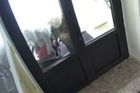 "Zlodějská hyena dopadena." Recidivista přepadl 90letou stařenku, bránila se marně