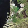 Tulip Island