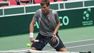 Tomáš Berdych má v Davisově poháru bilanci 45 vítězných zápasů a 15 porážek. Čtyřhru přitom prohrál jedinkrát ve své kariéře.