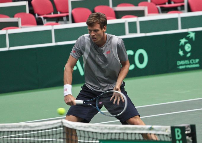 Davis Cup, Tomáš Berdych