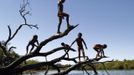 Yawalapiti children play over the Xingu River in the Xingu National Park, Mato Grosso State, May 9, 2012. In August the Yawalapiti tribe will hold the Quarup, which is a ritual held over several days to honour in death a person of great importance to them. This year the Quarup will be honouring two people - a Yawalapiti Indian who they consider a great leader, and Darcy Ribeiro, a well-known author, anthropologist and politician known for focusing on the relationship between native peoples and education in Brazil. Picture taken May 9, 2012. REUTERS/Ueslei Marcelino (BRAZIL - Tags: SOCIETY ENVIRONMENT) ATTENTION EDITORS - PICTURE 18 OF 28 FOR PACKAGE 'LIFE WITH THE YAWALAPITI TRIBE' Published: Kvě. 15, 2012, 5:11 odp.