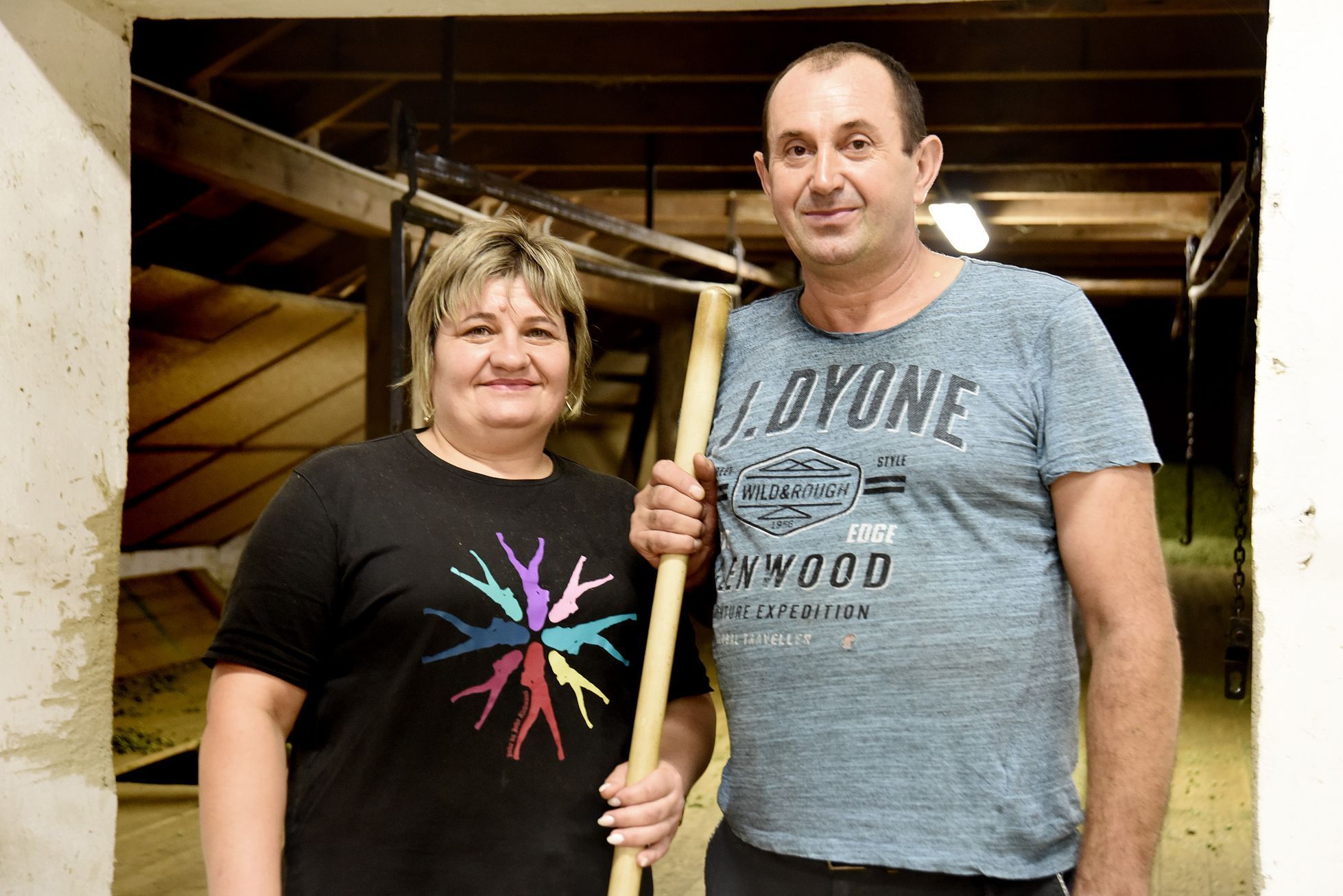 Chmelnice Kozojedy, chmel, Eminger, Kozojedy, sklizeň