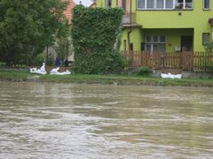 Lidé, kteří mají ve Veselí nad Moravou domy u řeky Moravy, už začali bránit svůj majetek, vchody chrání pytle s pískem.