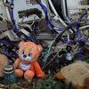 MH17 - Ukrajina - Donbas - boeing - trosky