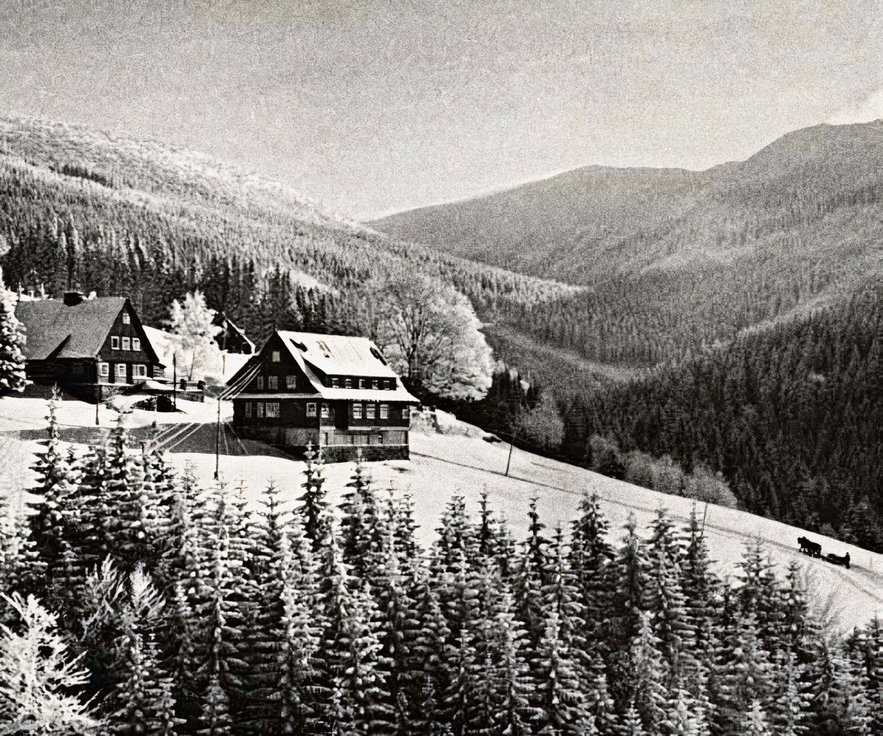 Jelení Boudy, Krkonošské boudy, Krkonoše, hory, historie, pokračování, Domácí