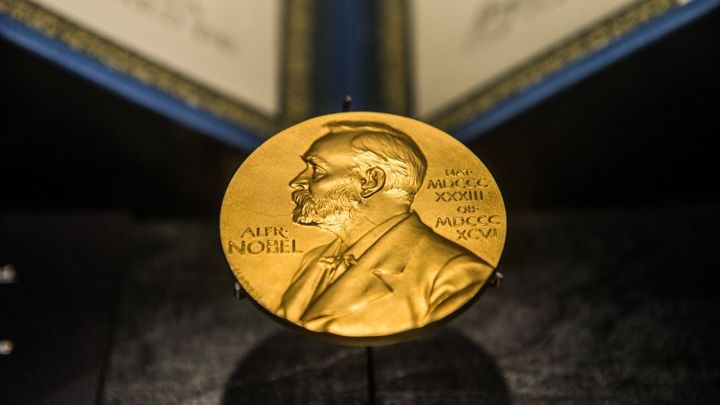 Nobelovu cenu za ekonomii získali Američané Milgrom a Wilson. Vylepšili teorii aukcí