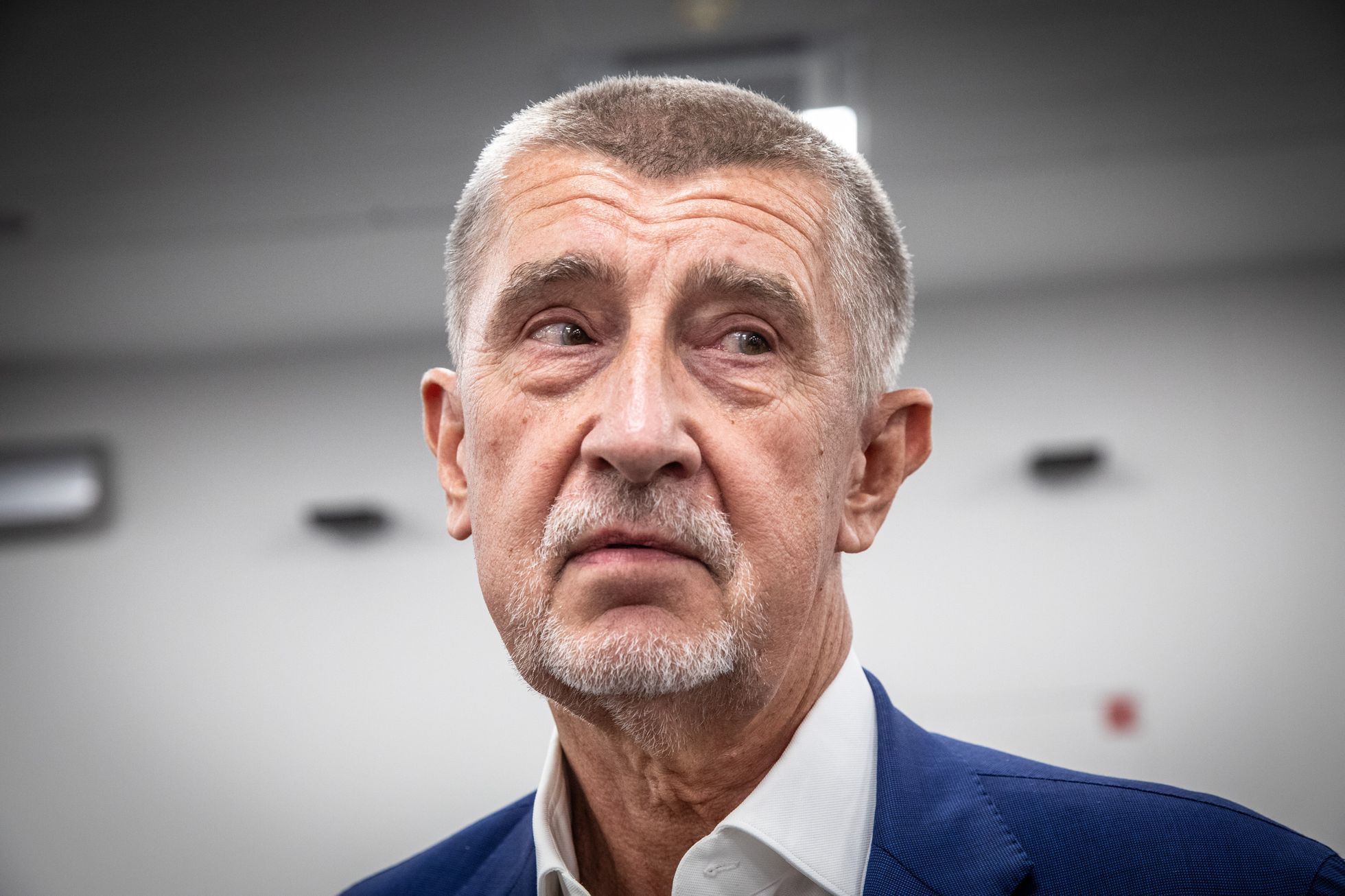 Hnutí ANO Volby do evropského parlamentu Andrej Babiš