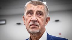 Hnutí ANO Volby do evropského parlamentu Andrej Babiš