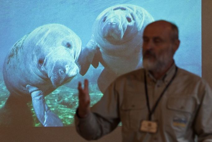 Kurátor chovu plazů a ryb Petr Velenský z pražské zoo představuje nový pavilón Amazonie. V pozadí hlavní tahák areálu - kapustňáci. V Česku zatím nejsou nikde k vidění.