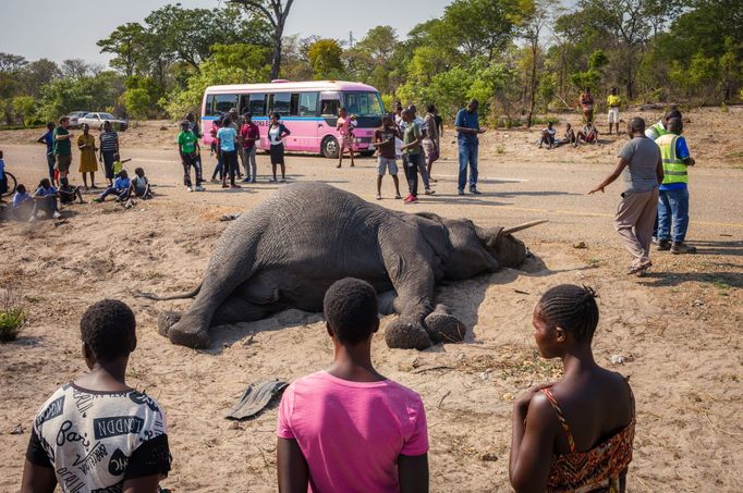 Finalisté soutěže Sony World Photography Awards 2024 / Professional