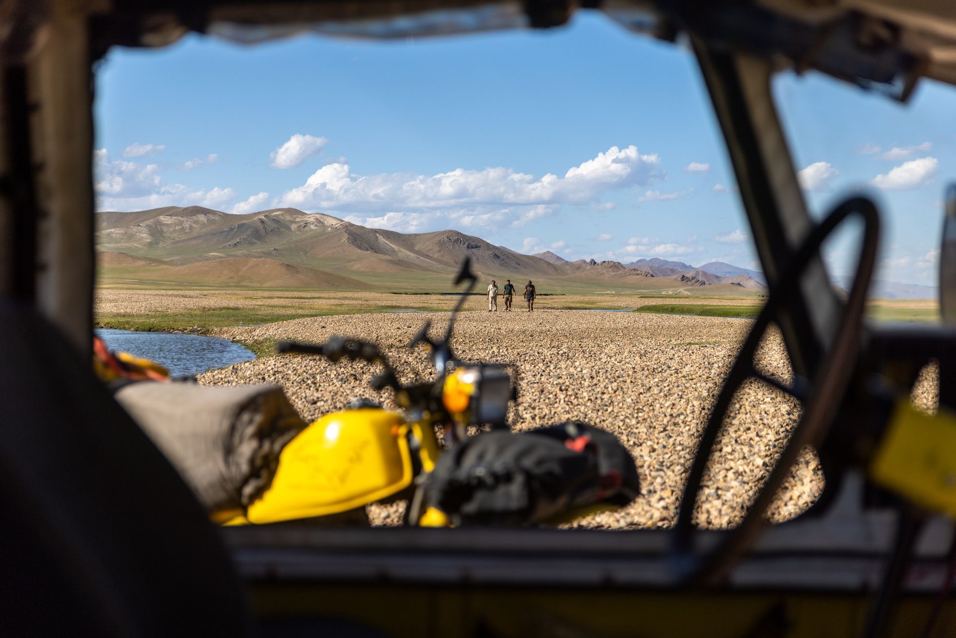 Žlutá žába pluje