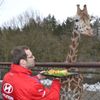 Petr Čech krmí žirafu v olomoucké ZOO