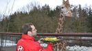 Petr Čech krmí žirafu v olomoucké ZOO