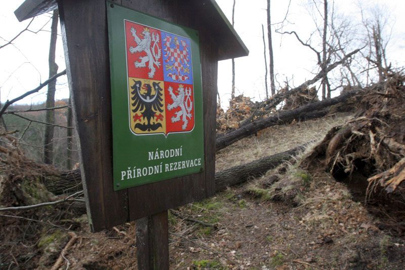 Emma si hrála s duby