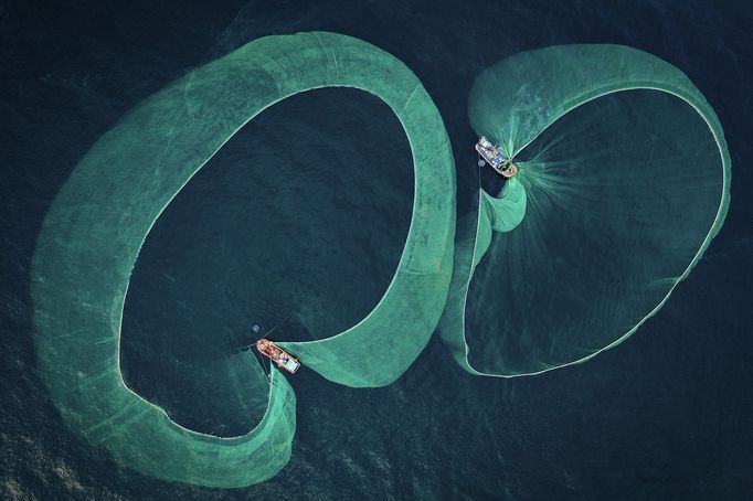 Vítězové fotografické soutěže Underwater Photographer of the Year 2022