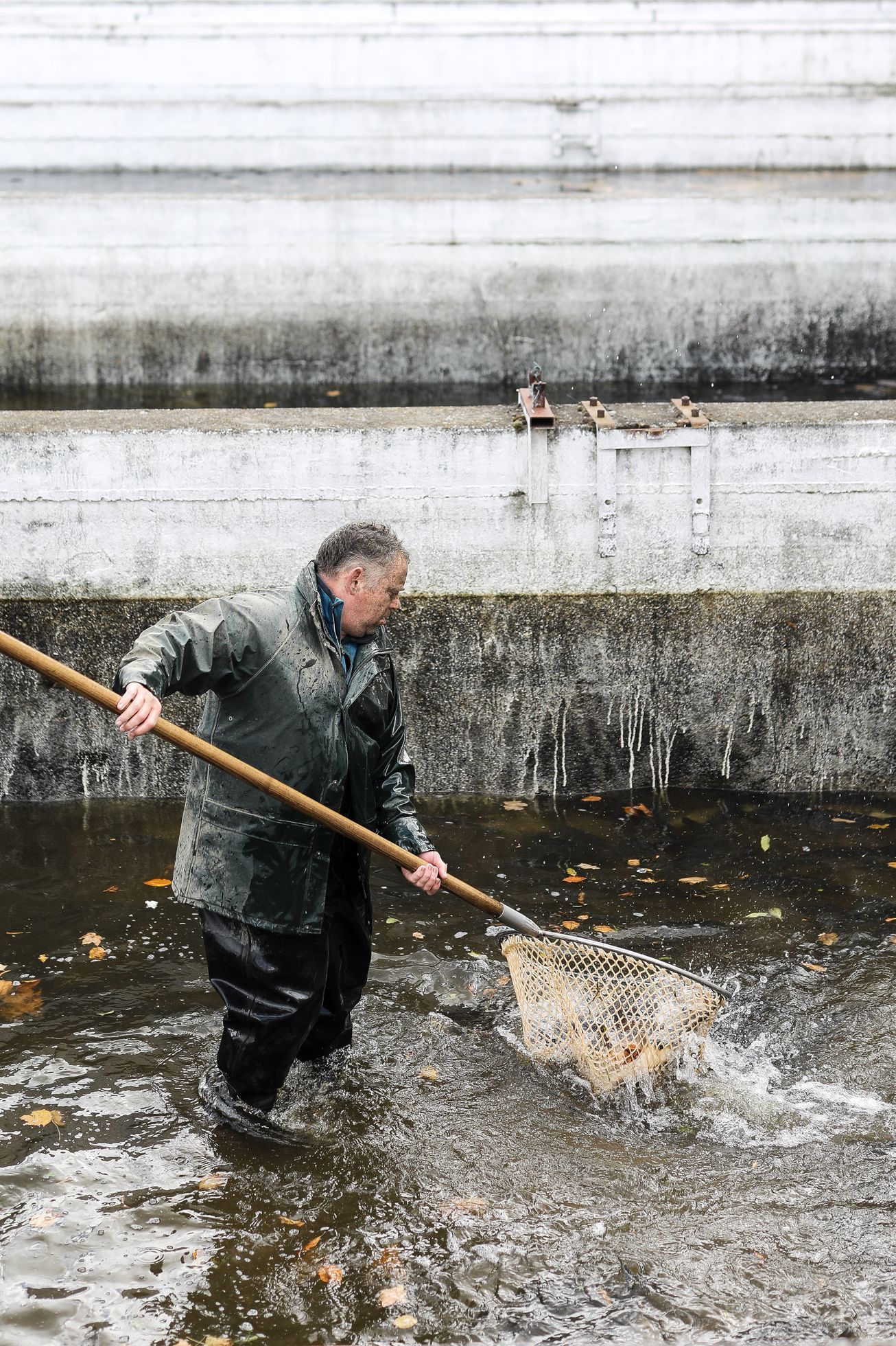 Podnikatel Jan Čulík, Tábor, výlov kaprů, biokapr, vaření, kuchyně, restarauce, gastro
