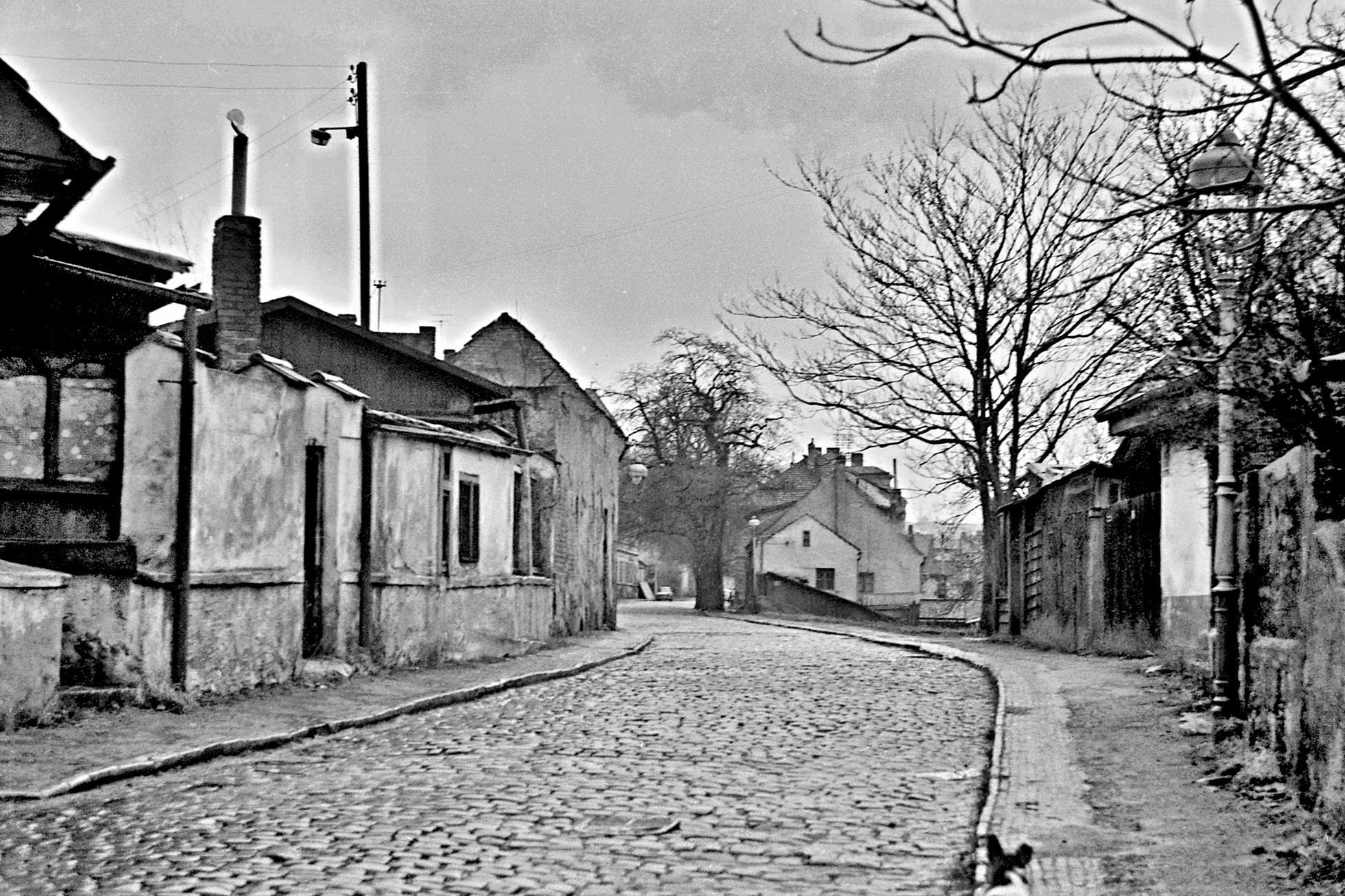 Zátory, Holešovice