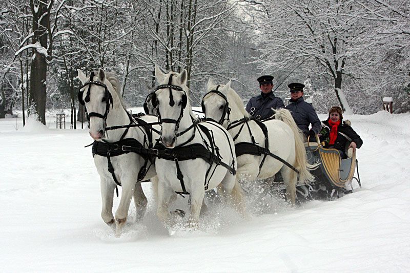 Kladrubský hřebčín